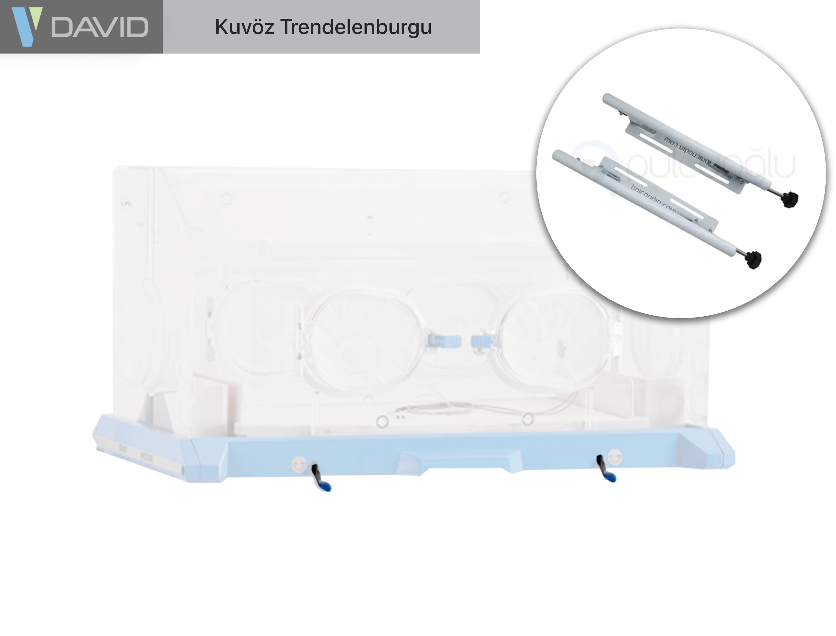 David Kuvöz Topuzlu Trendelenburg